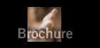 Send a Brochure